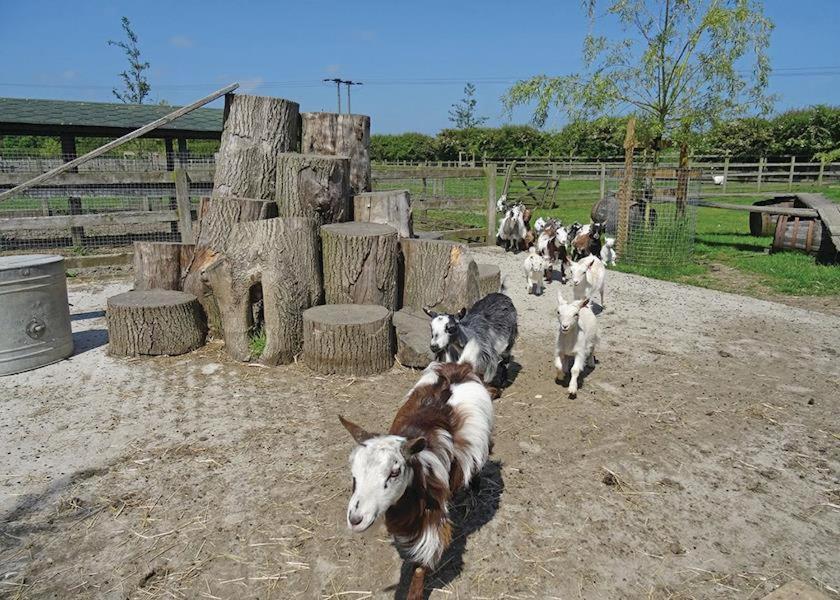Barmston Farm Hotell Kingston upon Hull Exteriör bild