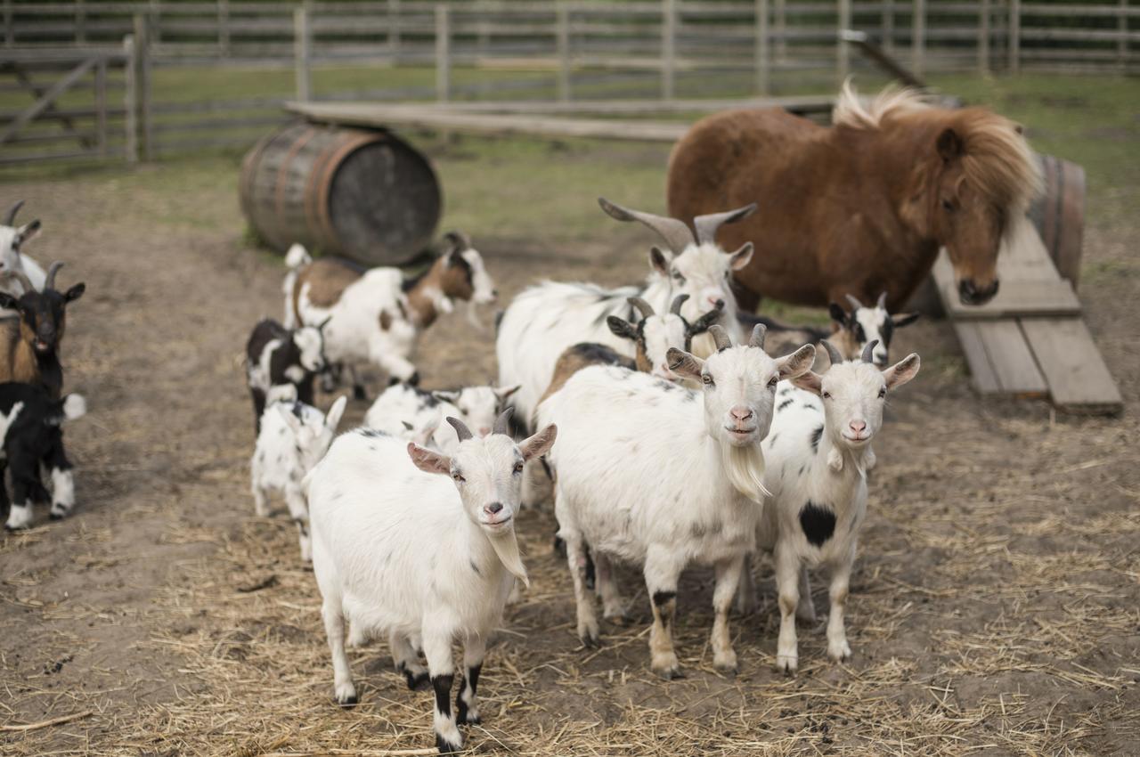 Barmston Farm Hotell Kingston upon Hull Exteriör bild