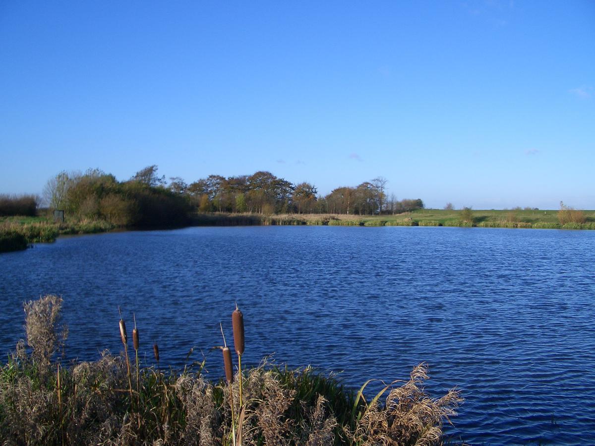 Barmston Farm Hotell Kingston upon Hull Exteriör bild